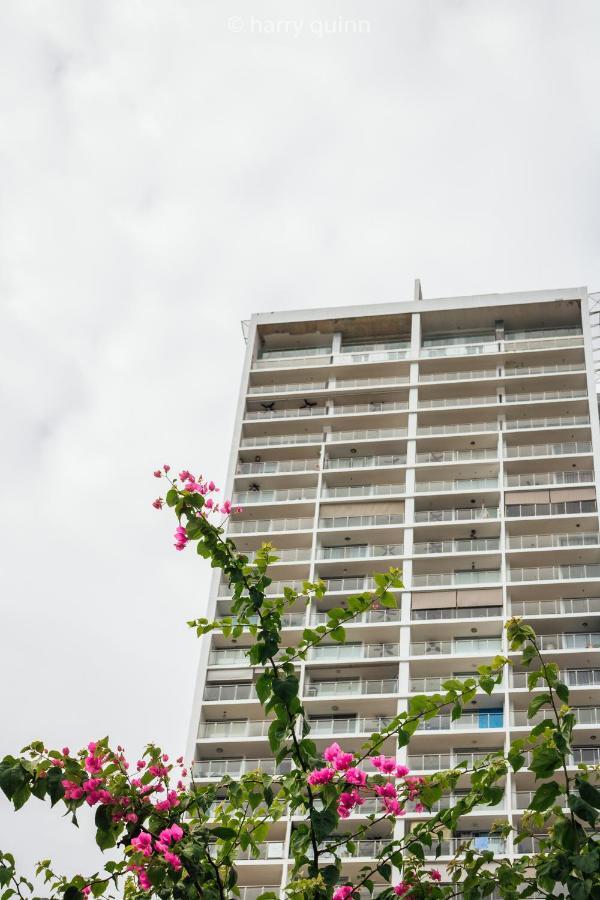 Apartamento El Palmar Residences サン・カルロス エクステリア 写真
